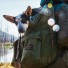 Filson Ripstop Nylon Backpack 20115929-Surplus Green with dog