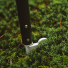 Weltevree Sticklight Bottle Green, poke it into the ground