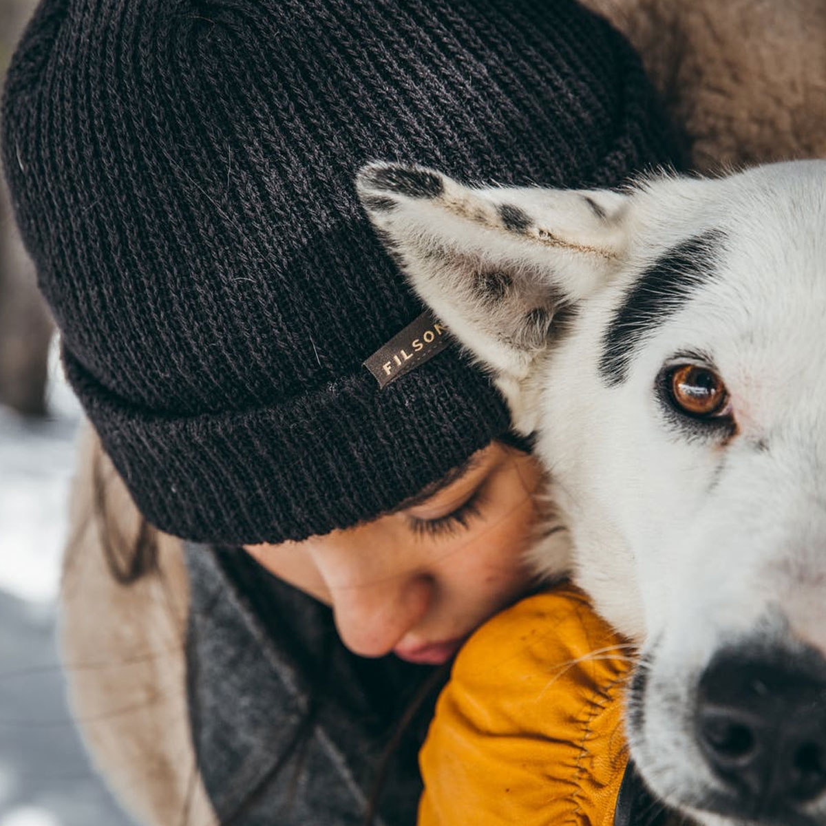 Filson Watch Cap Gray, with dog